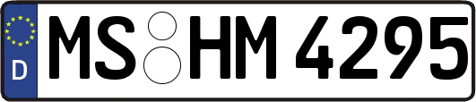 MS-HM4295