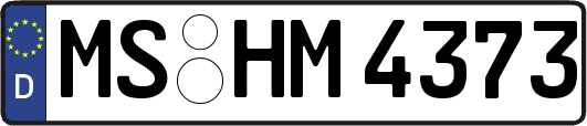 MS-HM4373