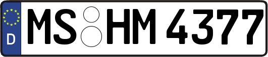 MS-HM4377