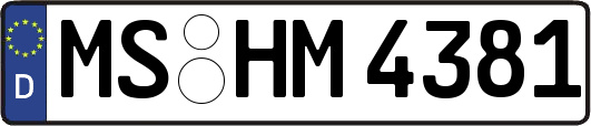 MS-HM4381