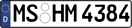 MS-HM4384