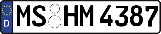 MS-HM4387