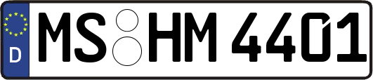 MS-HM4401