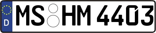 MS-HM4403