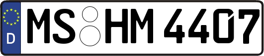 MS-HM4407