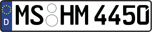 MS-HM4450