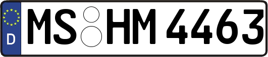 MS-HM4463