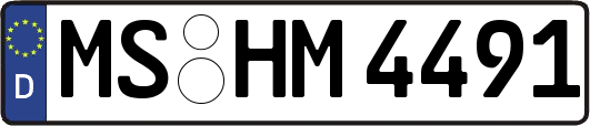 MS-HM4491