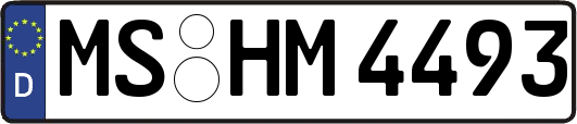 MS-HM4493
