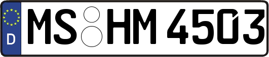 MS-HM4503