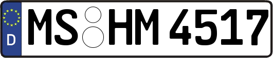 MS-HM4517