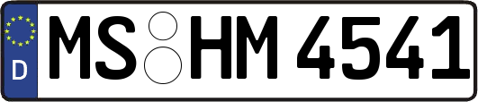 MS-HM4541