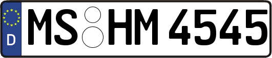 MS-HM4545