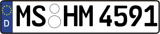 MS-HM4591