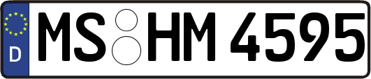 MS-HM4595