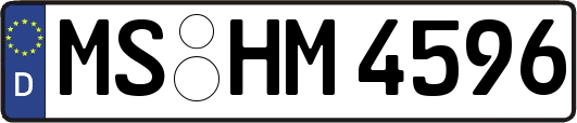 MS-HM4596