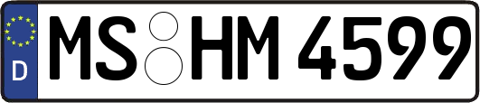 MS-HM4599