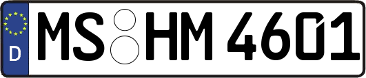 MS-HM4601