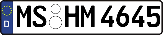 MS-HM4645