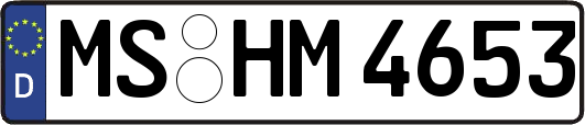 MS-HM4653