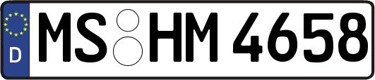 MS-HM4658