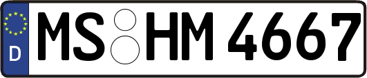 MS-HM4667