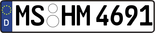 MS-HM4691