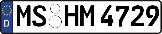 MS-HM4729