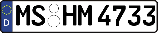MS-HM4733