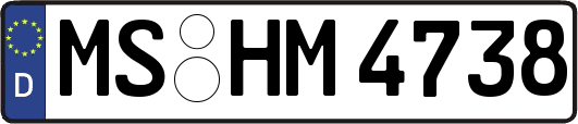 MS-HM4738