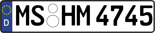 MS-HM4745