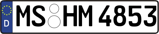 MS-HM4853