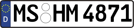 MS-HM4871