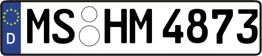 MS-HM4873