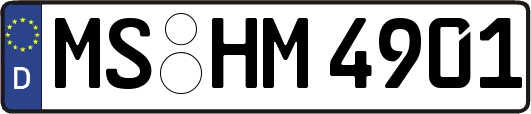 MS-HM4901