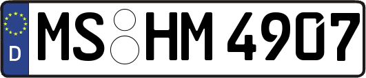 MS-HM4907