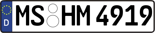MS-HM4919