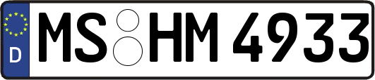 MS-HM4933