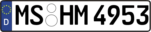 MS-HM4953