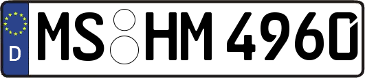 MS-HM4960