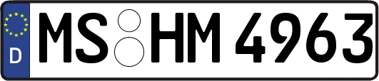 MS-HM4963