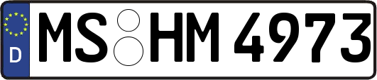 MS-HM4973