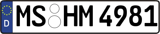 MS-HM4981