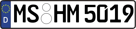 MS-HM5019