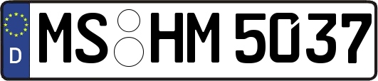 MS-HM5037