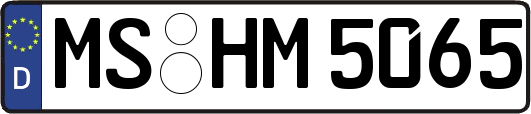 MS-HM5065