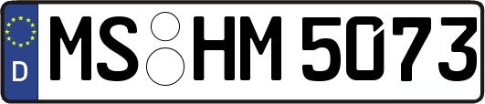 MS-HM5073
