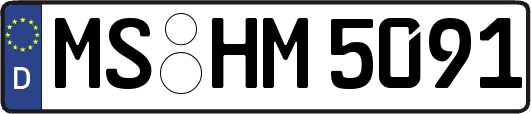 MS-HM5091