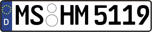 MS-HM5119