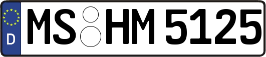 MS-HM5125